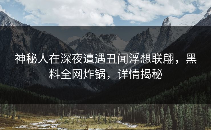 神秘人在深夜遭遇丑闻浮想联翩，黑料全网炸锅，详情揭秘