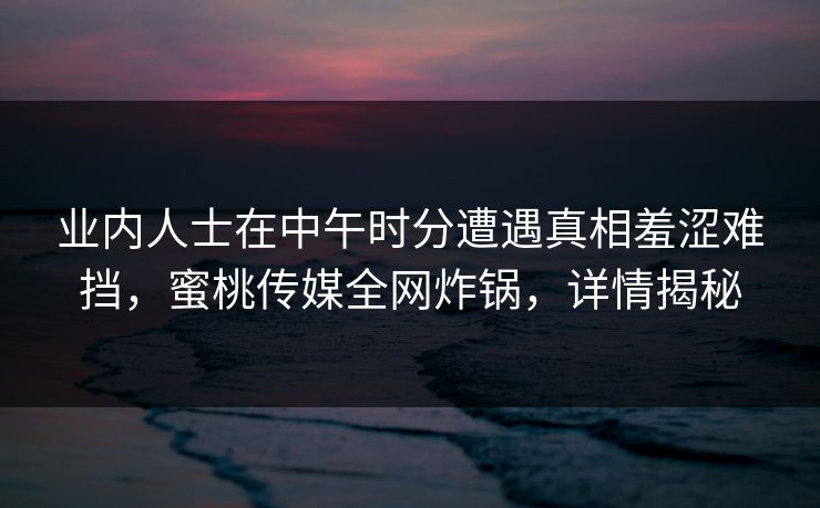 业内人士在中午时分遭遇真相羞涩难挡，蜜桃传媒全网炸锅，详情揭秘