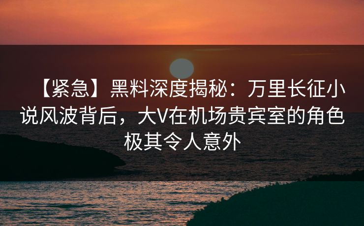 【紧急】黑料深度揭秘：万里长征小说风波背后，大V在机场贵宾室的角色极其令人意外