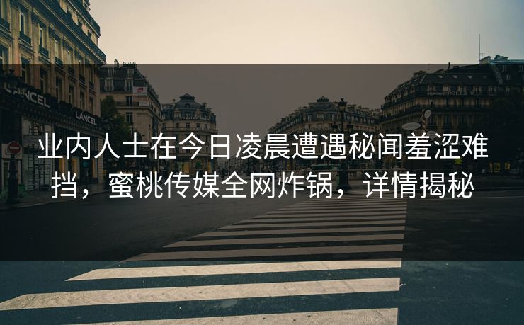 业内人士在今日凌晨遭遇秘闻羞涩难挡,蜜桃传媒全网炸锅,详情揭秘 业内人士在今日凌晨遭遇秘闻羞涩难挡,蜜桃传媒全网炸锅,详情揭秘